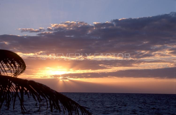 Islands;Sunsets;Sky;clouds;sun;yellow;water;red;palm trees;sillouettes;colorful;mexico